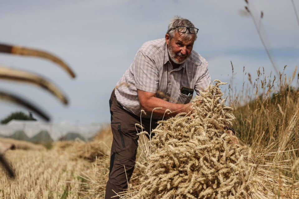 ÜRO Toidu- ja Põllumajandusorganisatsiooni (FAO) toiduainete hinnaindeks tõusis veebruaris 125,3 punktini, lõpetades viis kuud kestnud langustrendi.