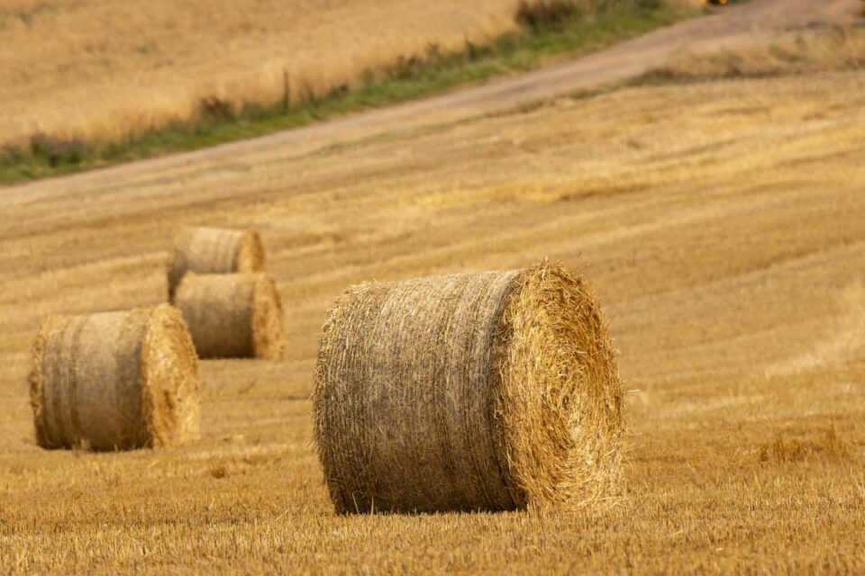 Keerulised aastad taimekasvatuses ja piimanduse väljakutsed on hakanud mõjutama ka põllumaa hinda.
